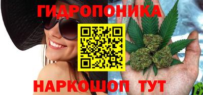 прущие крисы Керчь