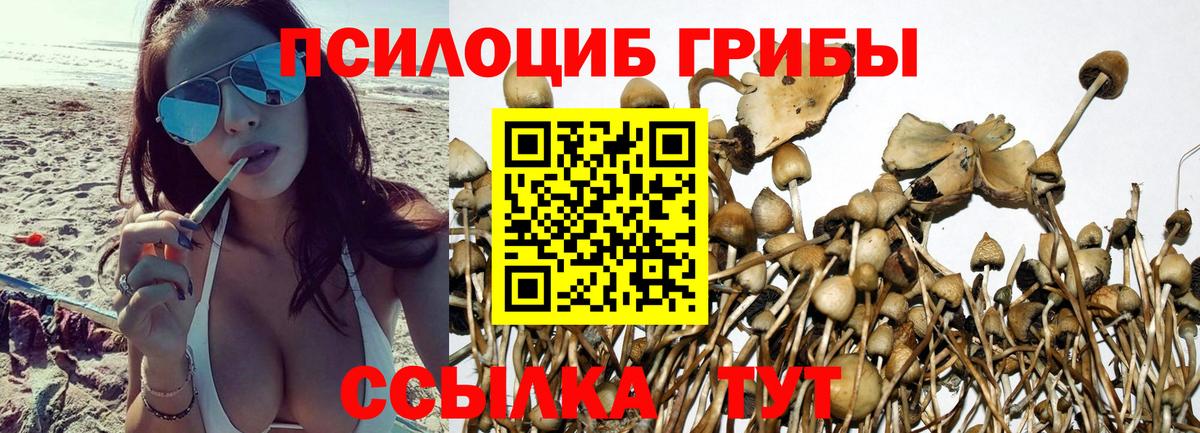 Кимры  Псилоцибиновые грибы ЛСД  Вход с VPN 